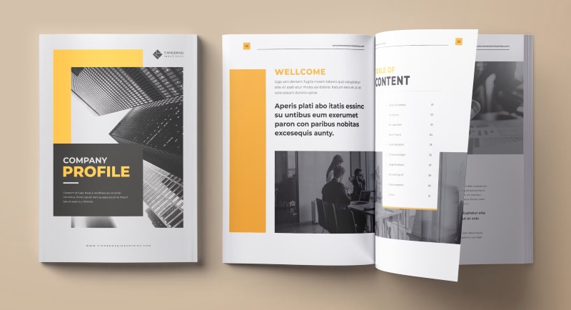 Báo giá thiết kế profile doanh nghiệp Báo giá thiết kế profile doanh nghiệp