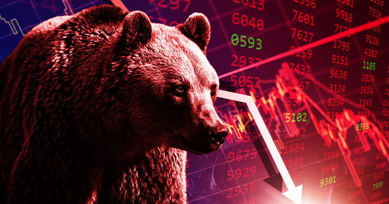 Bear market là gì? Bật mí chiến lược đầu tư trong bear market