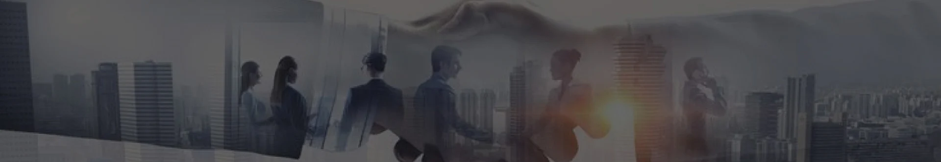 Hơn  3000+  khách hàng tin tưởng đồng hành 