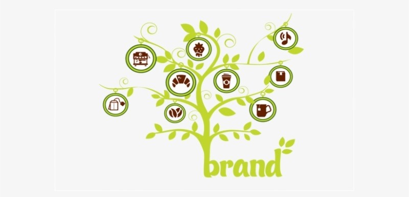 Các bước brand extension Các bước brand extension