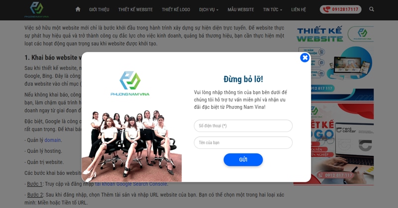 Các hiệu ứng website