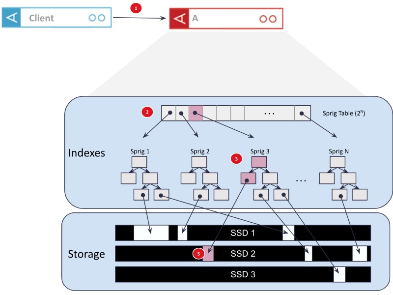 Các loại database server