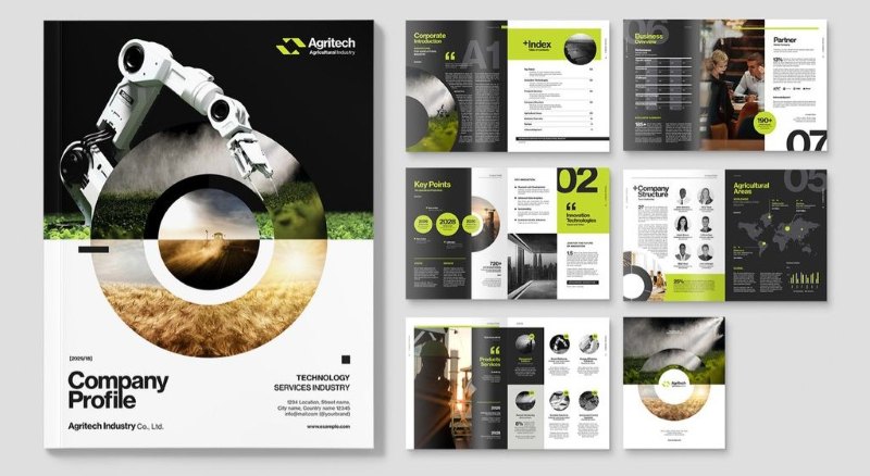 Các mẫu profile công ty phong cách sáng tạo