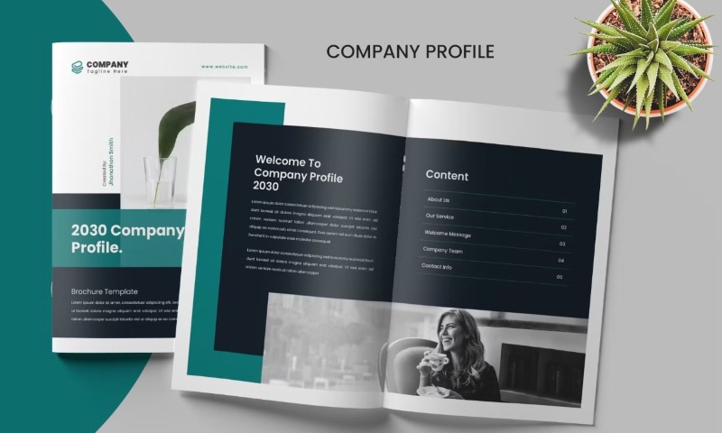 Các mẫu thiết kế profile công ty đẹp