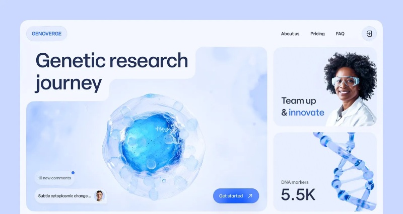 Các phong cách của expetimental web