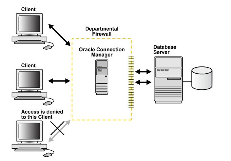 Các thành phần chính của database server