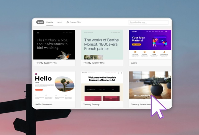 Theme là gì? Các loại theme website và bí quyết lựa chọn