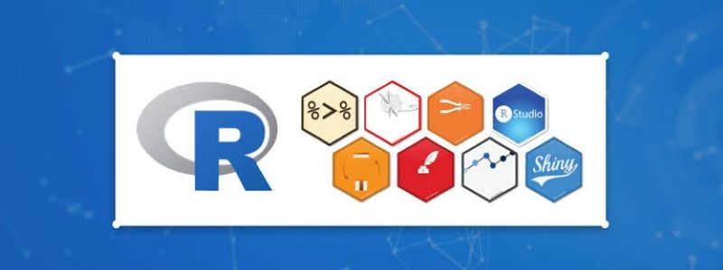 Các thư viện R Các thư viện R