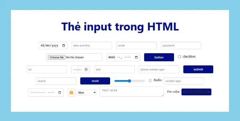 Các thuộc tính của thẻ input trong HTML và cách sử dụng