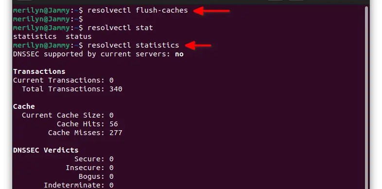 Cách flush DNS trên Linux