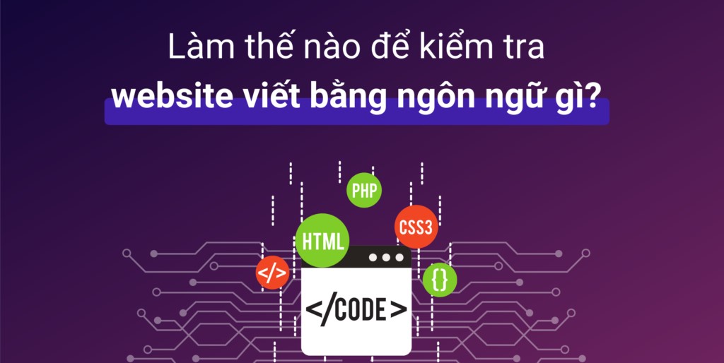 Cách kiểm tra website viết bằng ngôn ngữ gì nhanh và chuẩn