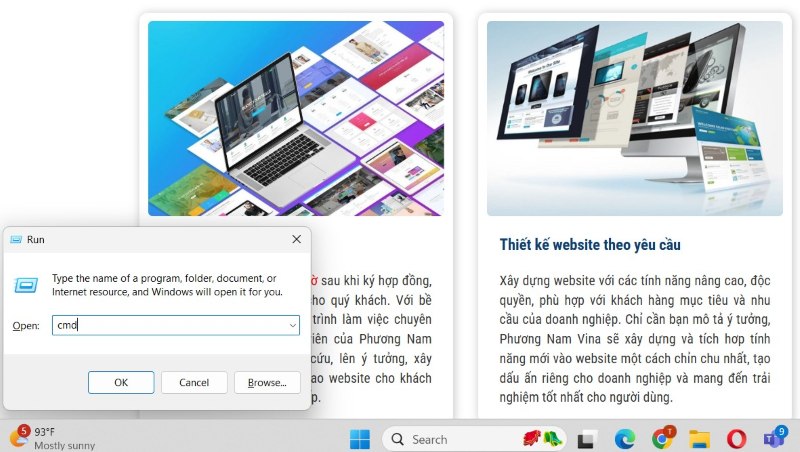 Check IP của website