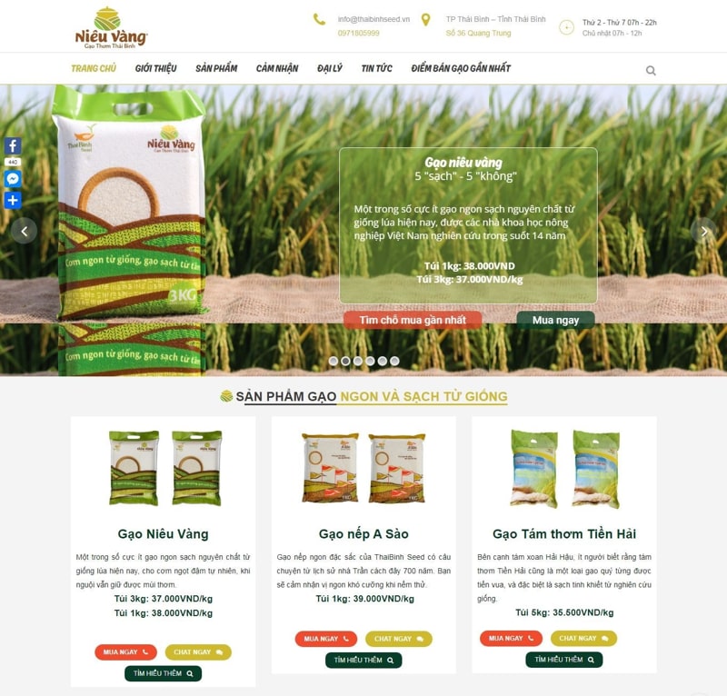 Công ty thiết kế website bán gạo