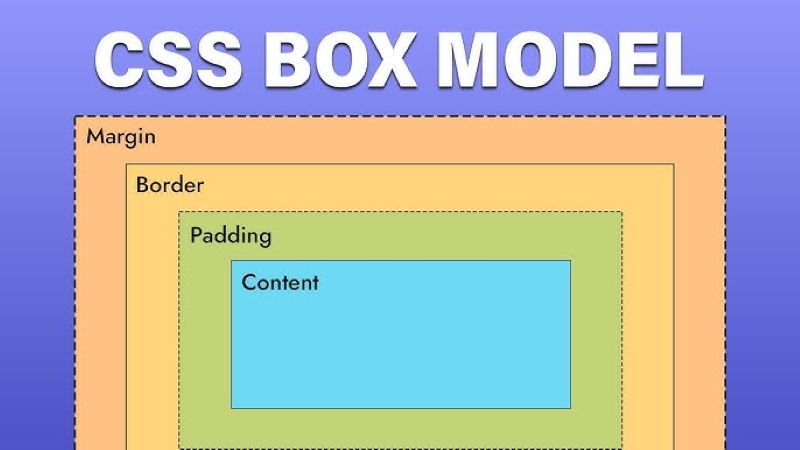 CSS box model là gì​? Làm chủ layout website với box model CSS