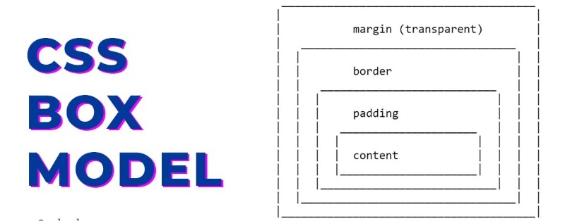 CSS Box Model