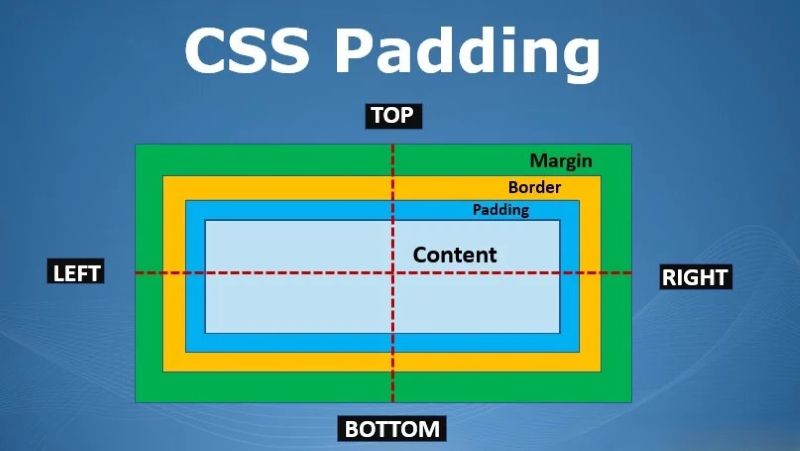 CSS Padding