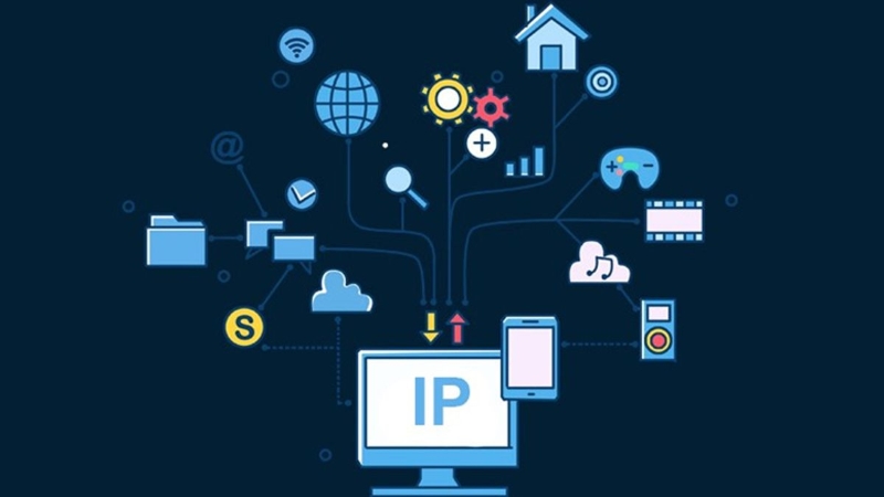 Địa chỉ IP của website