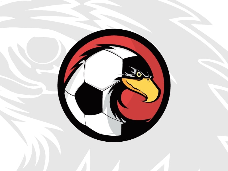 Dịch vụ thiết kế logo bóng đá