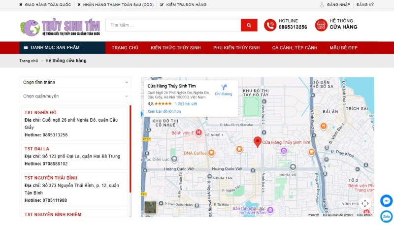 Dịch vụ thiết kế web cá cảnh Dịch vụ thiết kế web cá cảnh