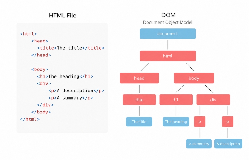 DOM trong HTML DOM trong HTML