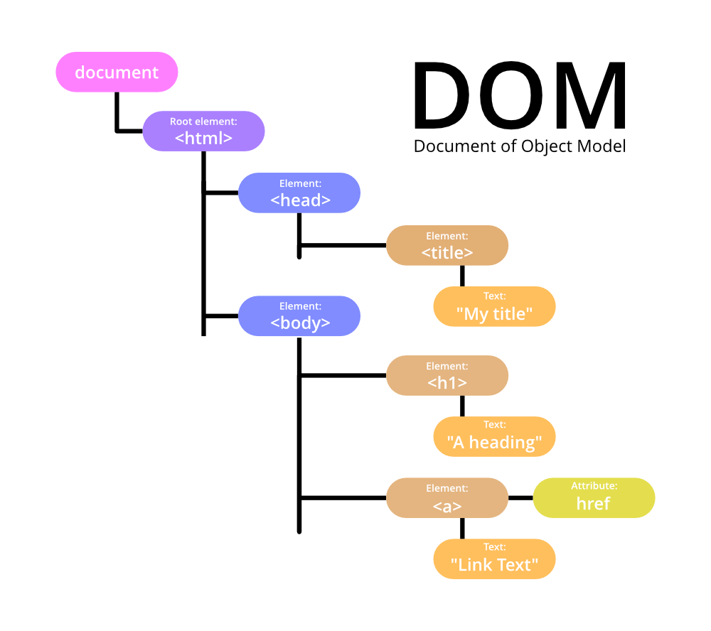 DOM là gì? Cấu trúc và vai trò của Document Object Model