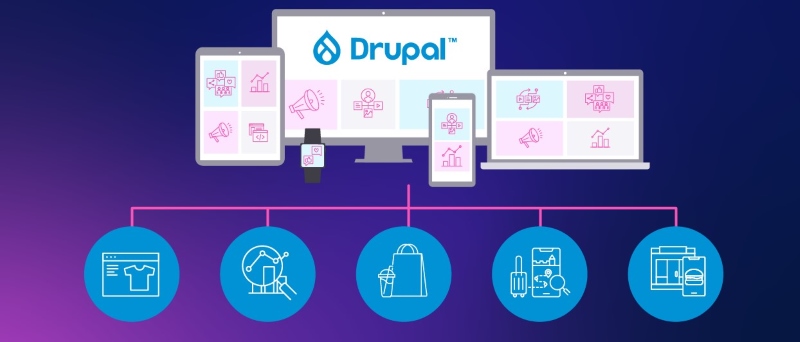 Drupal vs WordPress