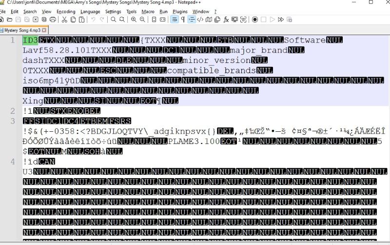 File TXT