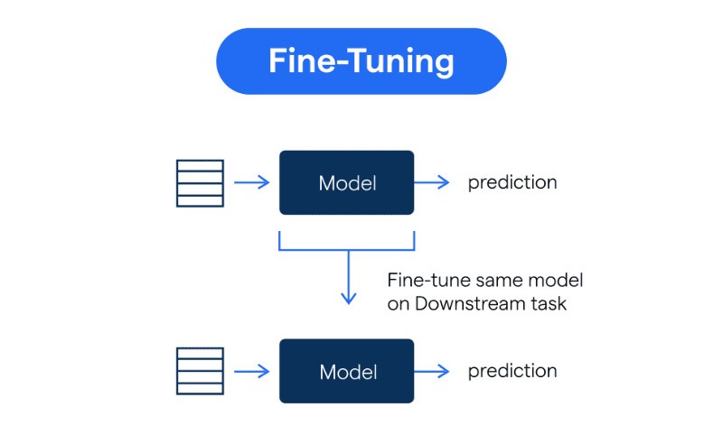 Fine-tuning