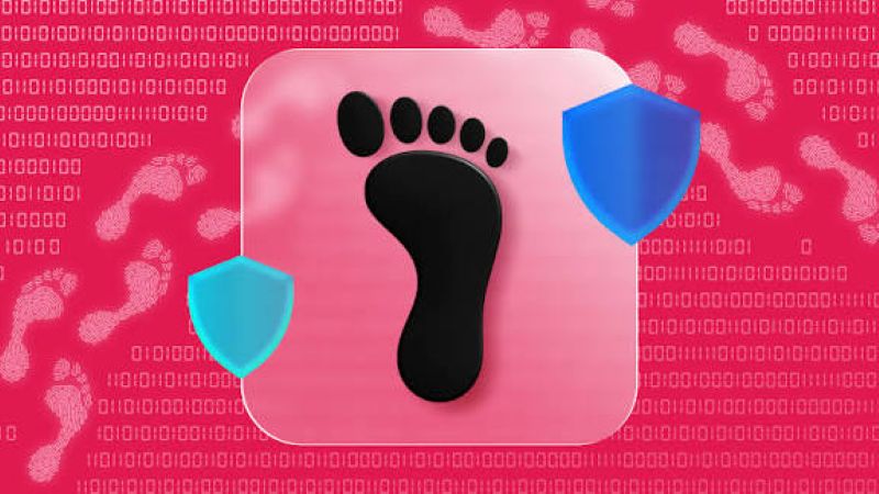 Footprint website Footprint website