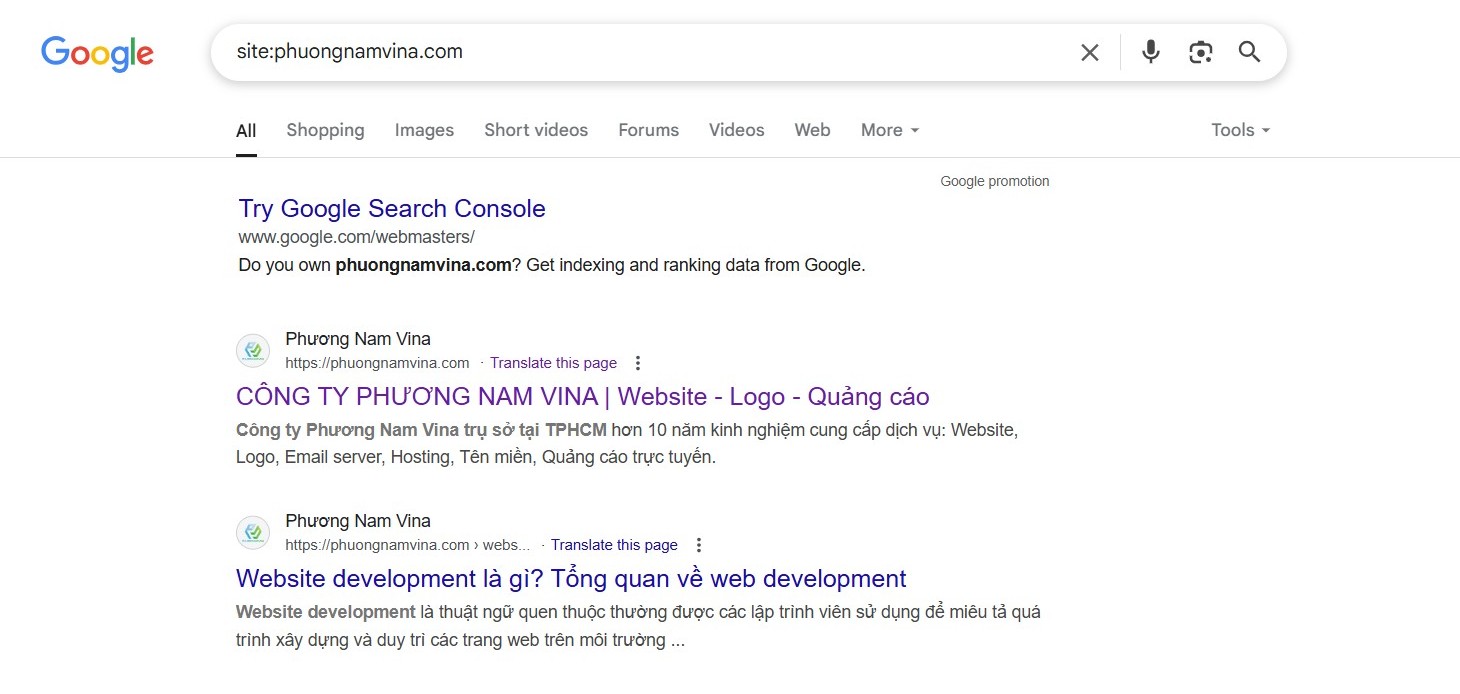 Google Sandbox Tool