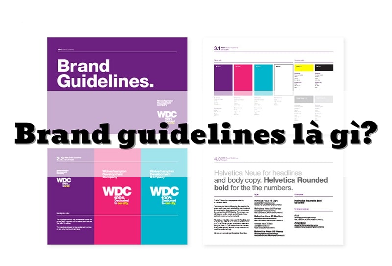 Guideline là gì? Vai trò và bí kíp xây dựng brand guidelines 