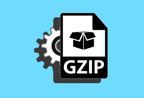 Gzip là gì? Hướng dẫn bật Gzip để tăng tốc website
