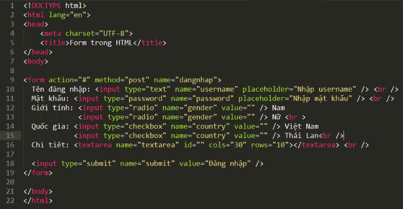 HTML input
