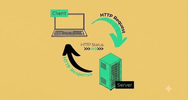 Khắc phục lỗi 505