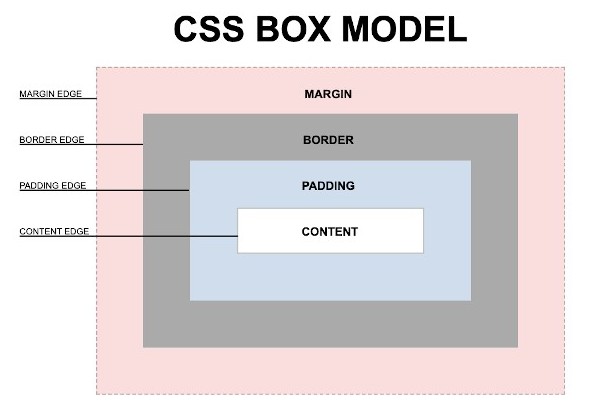CSS box model là gì​? Làm chủ layout website với box model CSS