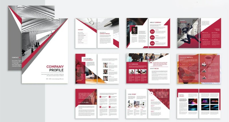 Làm profile cho công ty Làm profile cho công ty