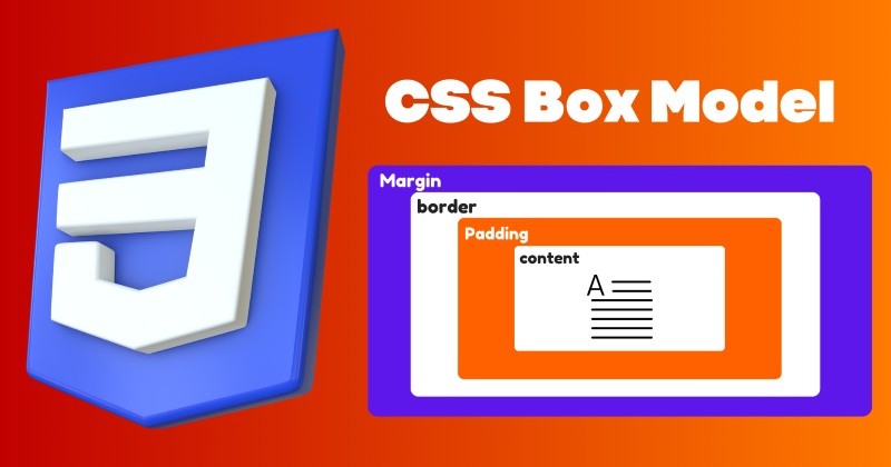 Làm việc với box model CSS