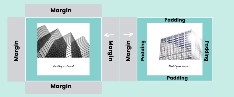 Margin và padding
