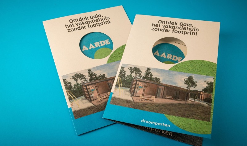 Mẫu brochure đẹp và chuyên nghiệp