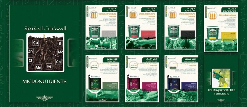 Mẫu catalogue giới thiệu công ty nông nghiệp đẹp