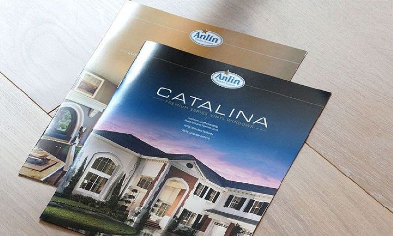 Mẫu catalogue giới thiệu năng lực công ty