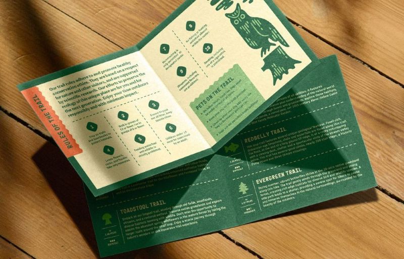 Mẫu Pamphlet đẹp, độc đáo