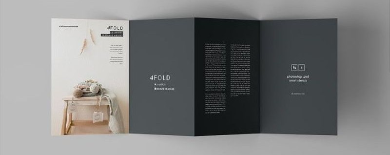 Mẫu pamphlet đẹp