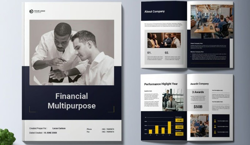 Mẫu profile công ty tài chính