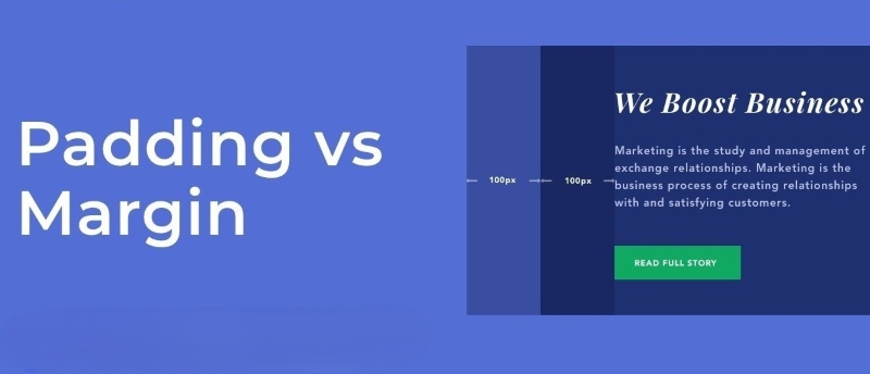 Padding là gì? Margin là gì? Phân biệt padding và margin