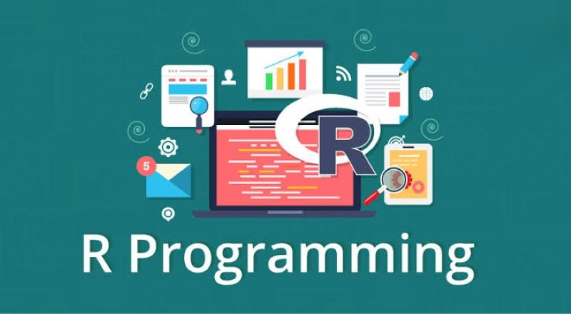 R programming language R programming language
