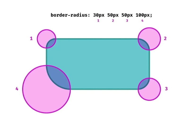 Border-radius là gì? Hướng dẫn sử dụng border-radius CSS
