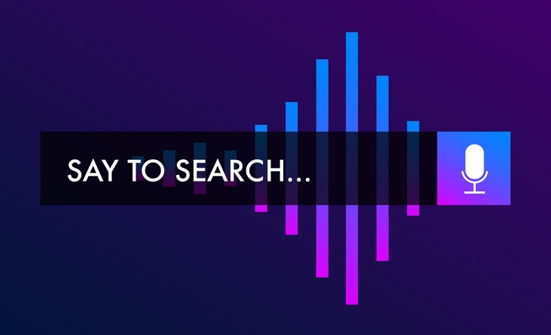 Search bar website