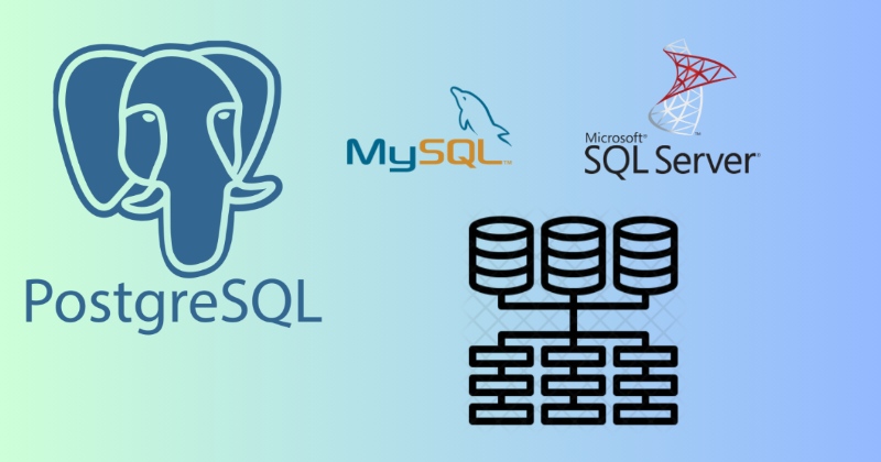 Server database