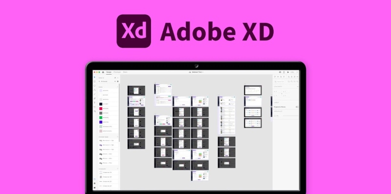 Sử dụng Adobe XD